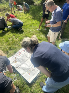 En grupp personer artklassificerar vattenlevande insekter, foto Anna Sara Roos