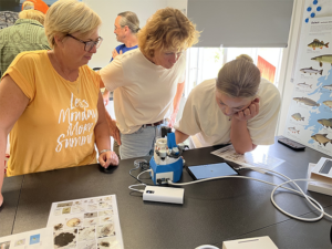 tre personer tittar i ett mikroskop på vattenlevande insekter. Foto Anna Sara Roos