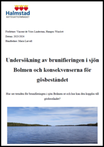 Framsida till gymnasiearbete om brunifiering och gösbeståndet i Bolmen, från 2024