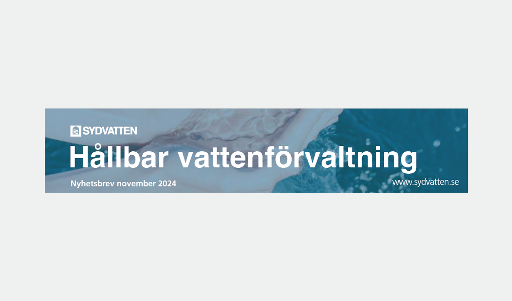 Header för nyyhetsbrev november 2024