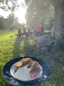 Besök av Hylte kommuns förskolepedagoger, augusti 2023, tallrik med mat och vy över en äng