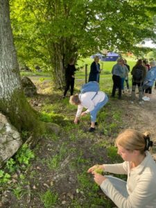 Besök av Hylte kommuns förskolepedagoger, augusti 2023. personalen samlar ätbara växter