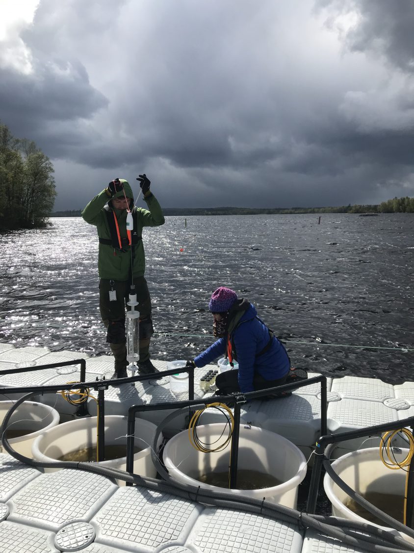 Marcus och Carlota på mesokosmplattformen i Bolmen