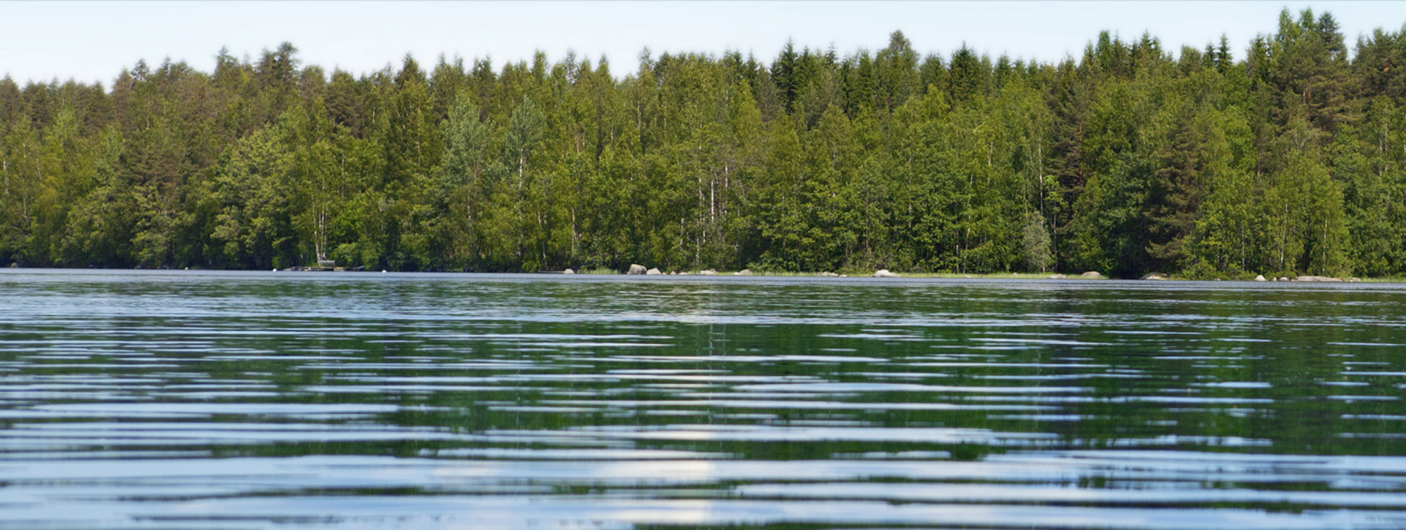 En spegelblank sjö med skog i bakgrunden